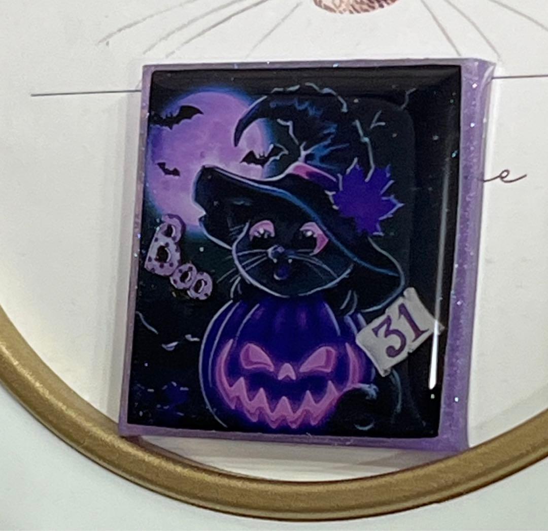 感謝価格(ㅅ´꒳` )ハロウィン黒猫ちゃん