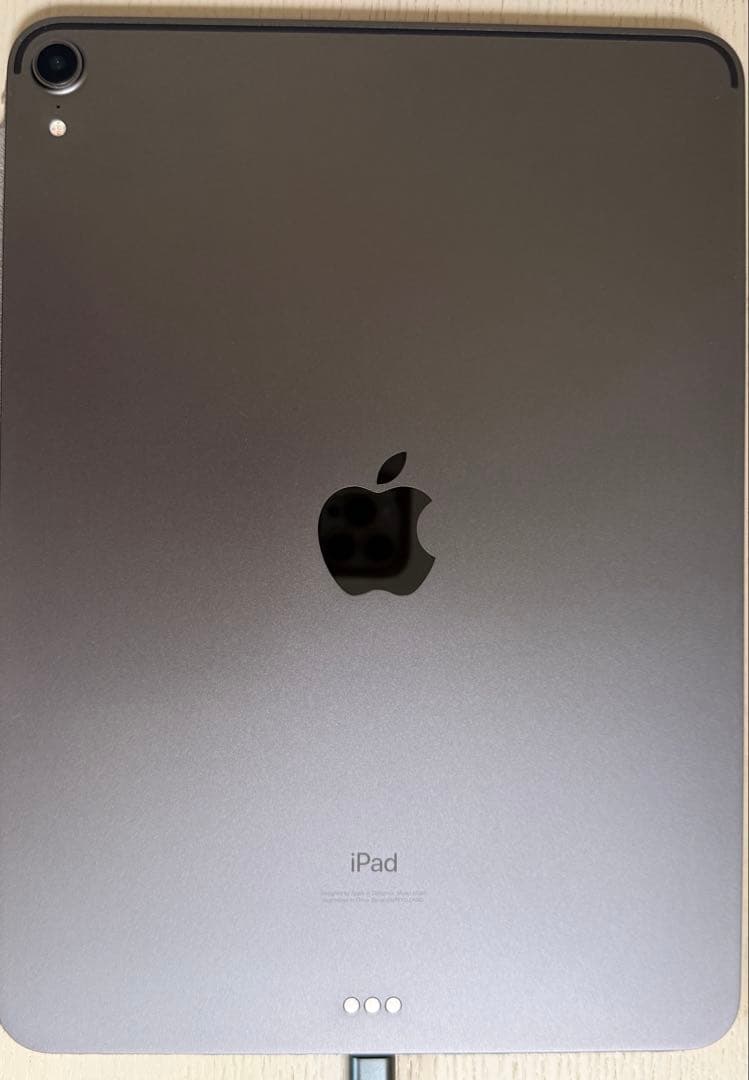 iPad Pro 11インチ 第1世代 256GB スペースグレイ