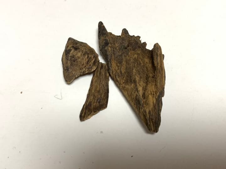 沈香　香木
