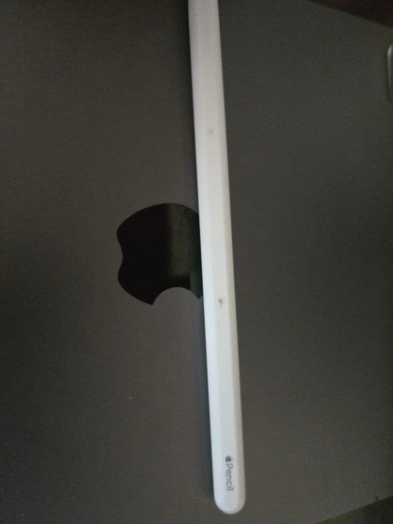 ジャンク品　iPad Pro 11 第2世代 128GB　バッテリー容量88％