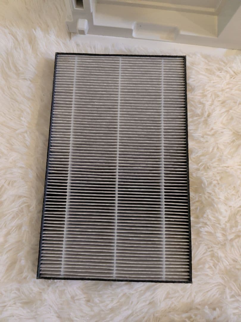 【美品】Panasonic 次亜塩素酸 空間除菌脱臭機 F-ML4000B