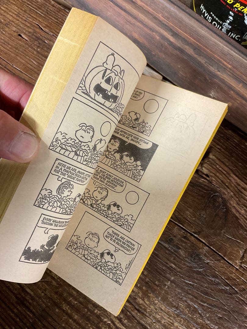 ★箱付き　PEANUTS 絵本セット★