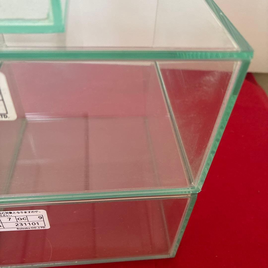 【最終値下】ベタ　コレクションケースM ショーベタ　水槽　8個　オマケ付き