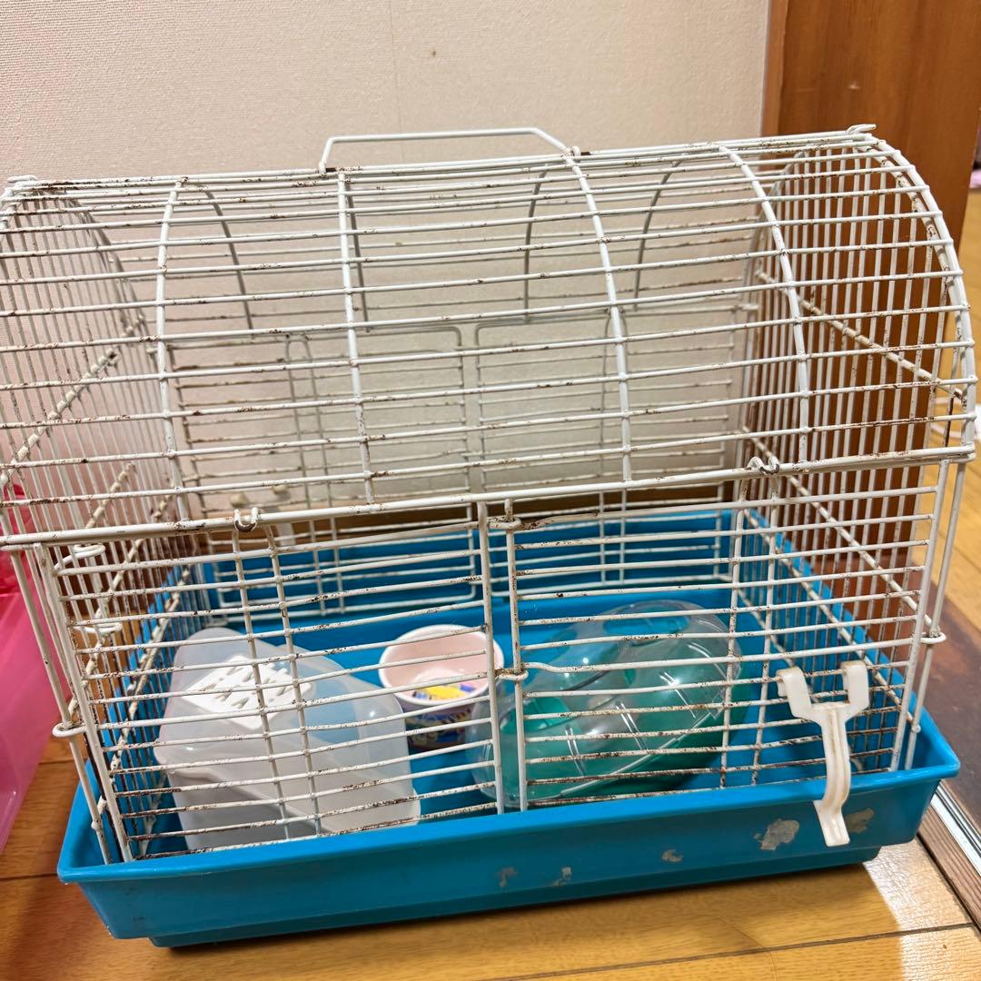 ハムスター 小動物 飼育セット