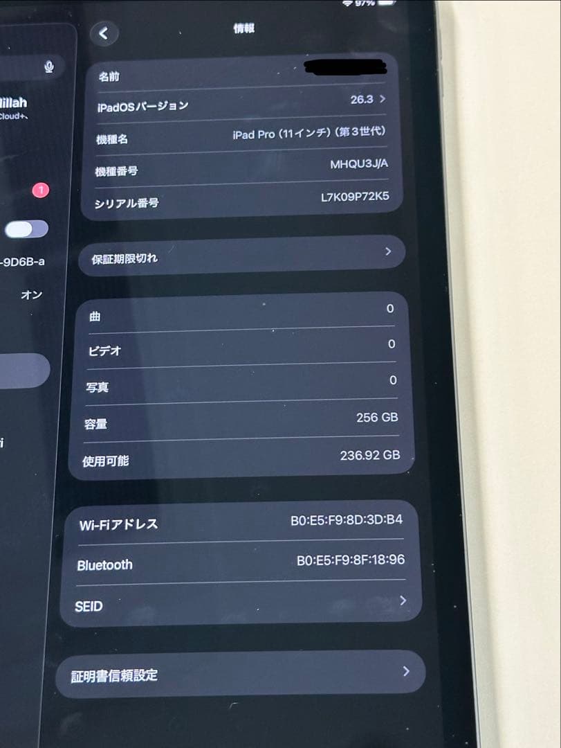 【Okayu_nanase】iPad Pro