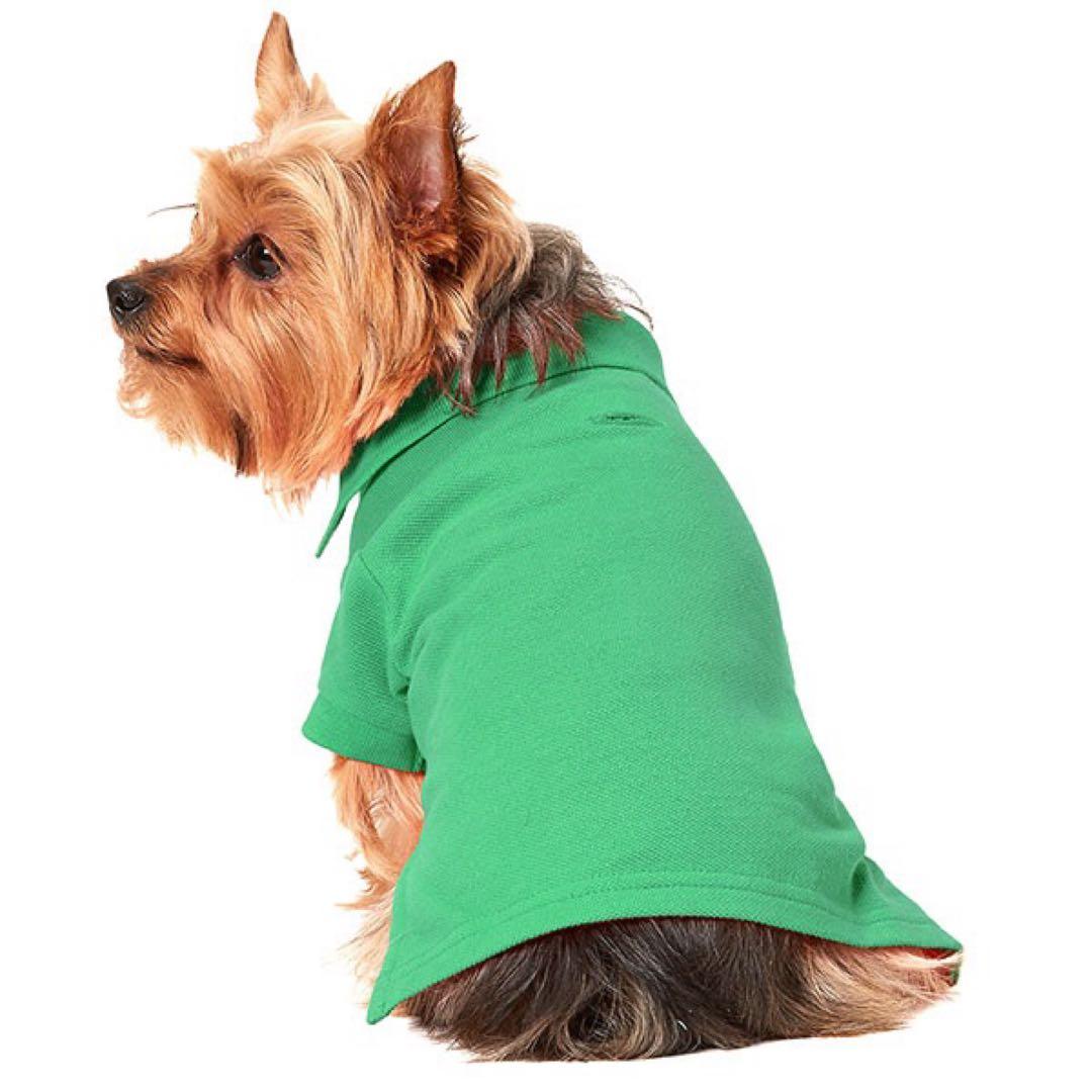 Polo Ralph Lauren 犬服 グリーン XL