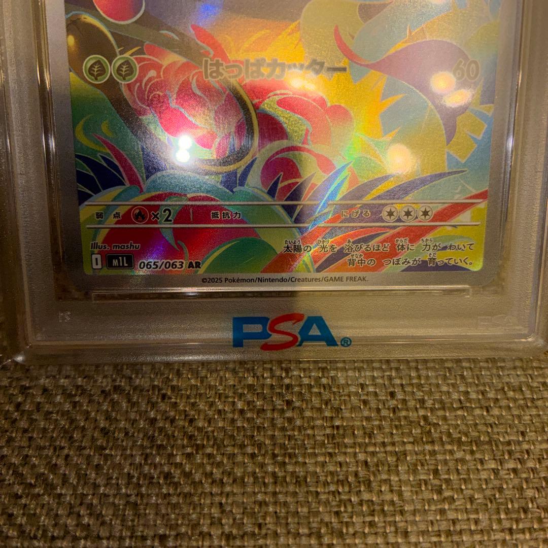 n*3様 【PSA10】 フシギソウ (AR) {065/063} メガブレイブ