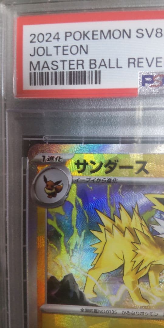 ま*✨様 【PSA10】サンダースSV8aテラスタルフェスex 051/187マ
