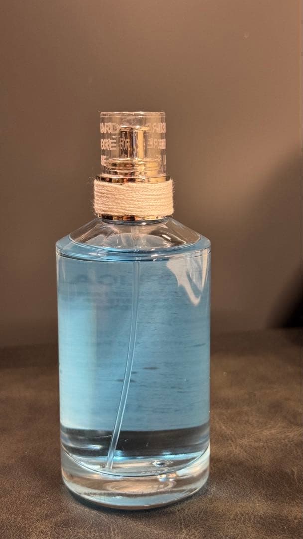 【95%残量】メゾンマルジェラ レプリカ セイリングデイ 100ml