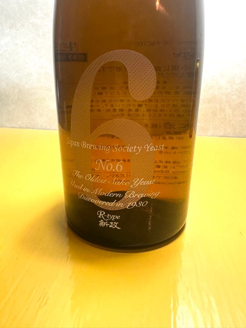 新政/No.6/R-type/2024年製造