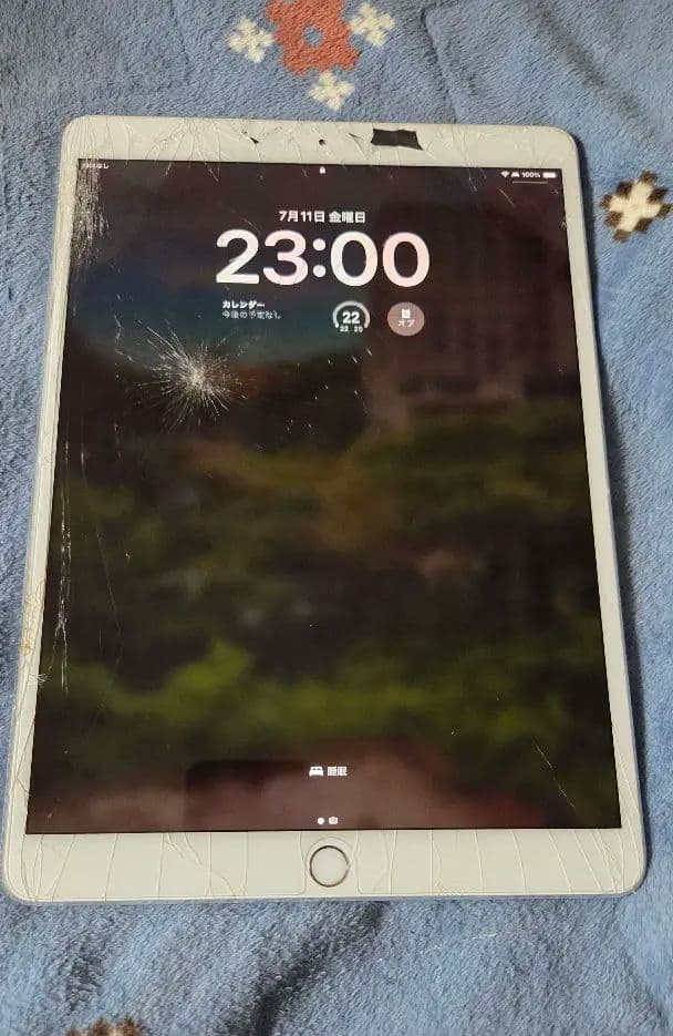 【ジャンク】iPad Pro 10.5 256GB Cellular モデル