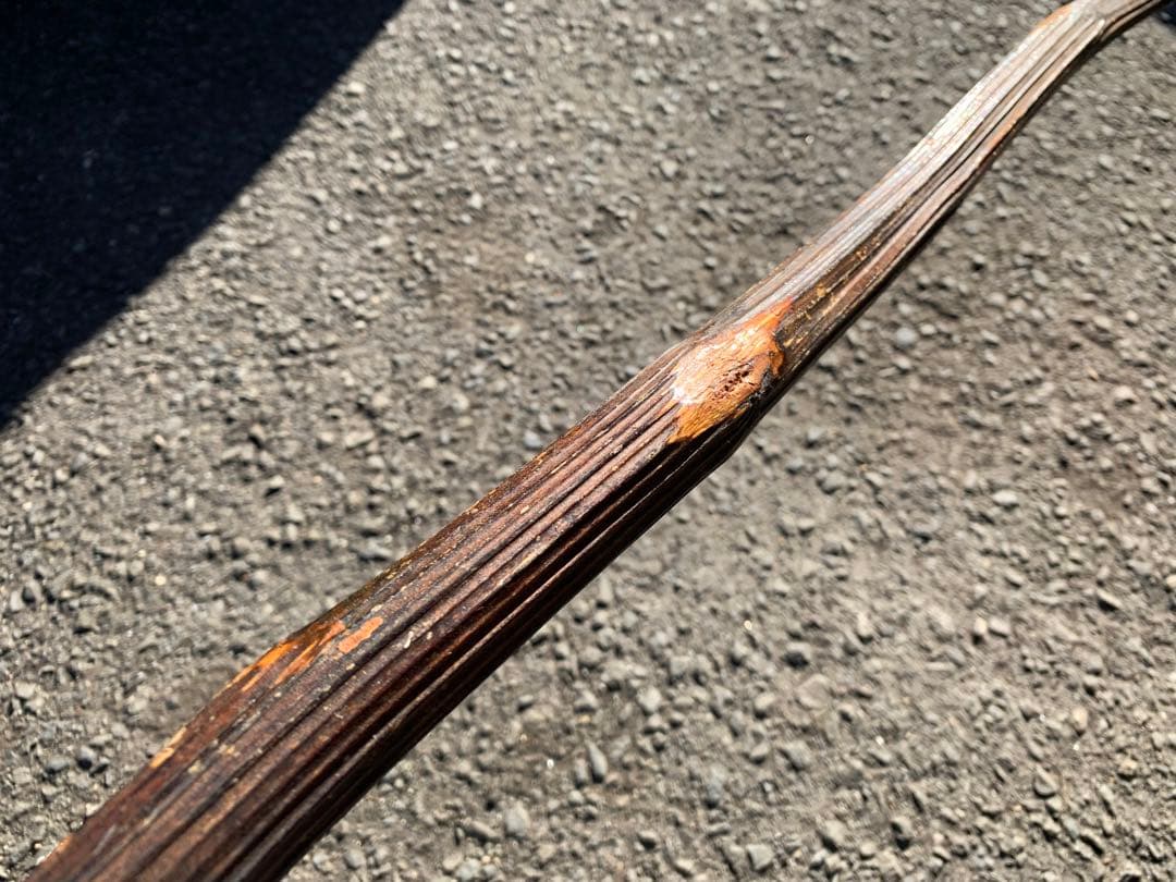 ☆希少 天然 大虎杖 杖 ウッドスティック 珍品 超軽量☆