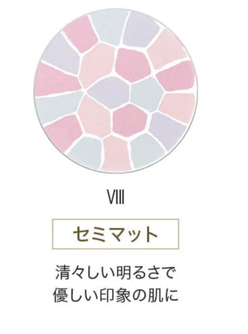 Elegance エレガンス ラプードル オートニュアンス Ⅷ 8.8g 使用済