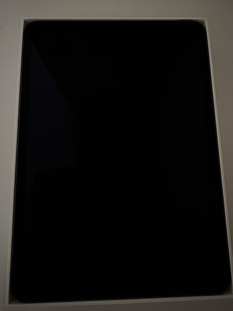 128㎇ 11インチiPad Pro（第2世代）Wi-Fi + Cellular