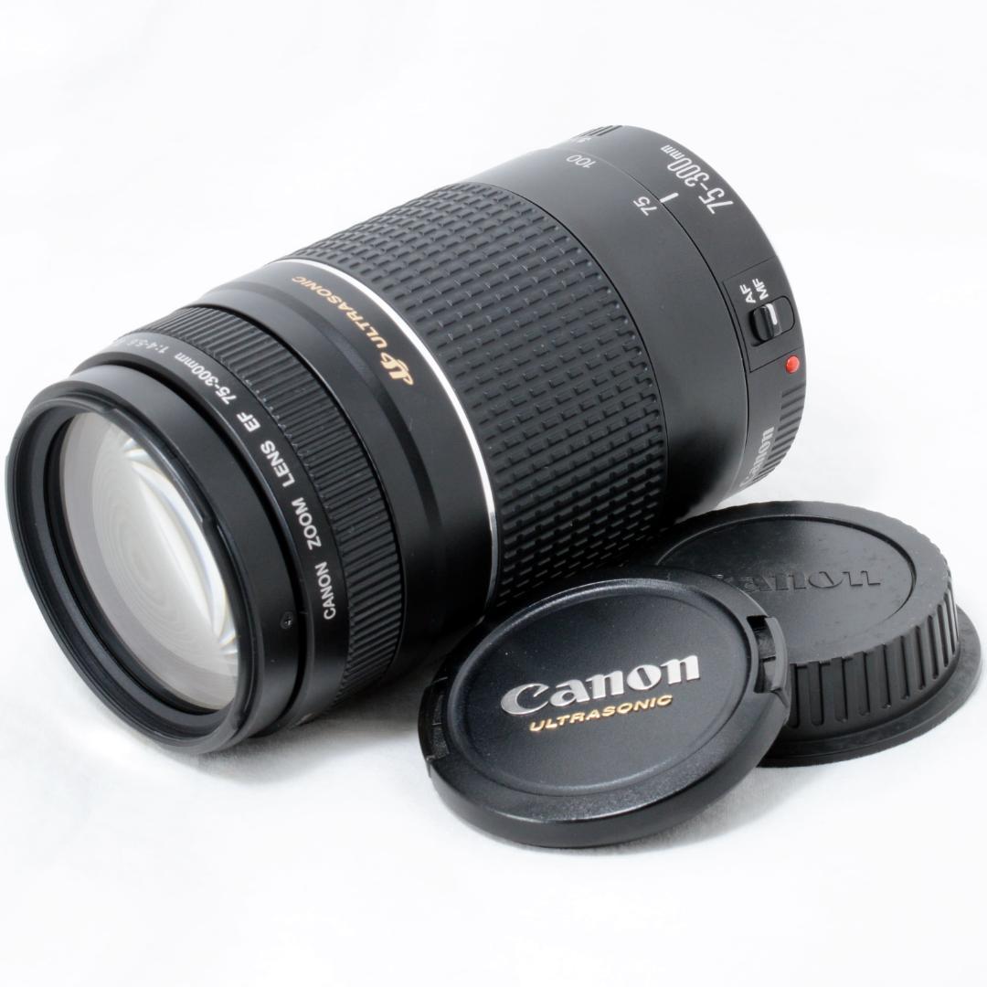 ⭐️実用品⭐️Canon キャノン EF 75-300mm 4-5.6 ⅢUSM