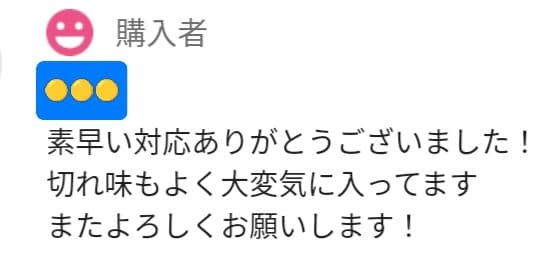 切れ味抜群ナルトシザー同様斜度付ハサミ理美容師プロ用☆犬トリミングペットもOK♪