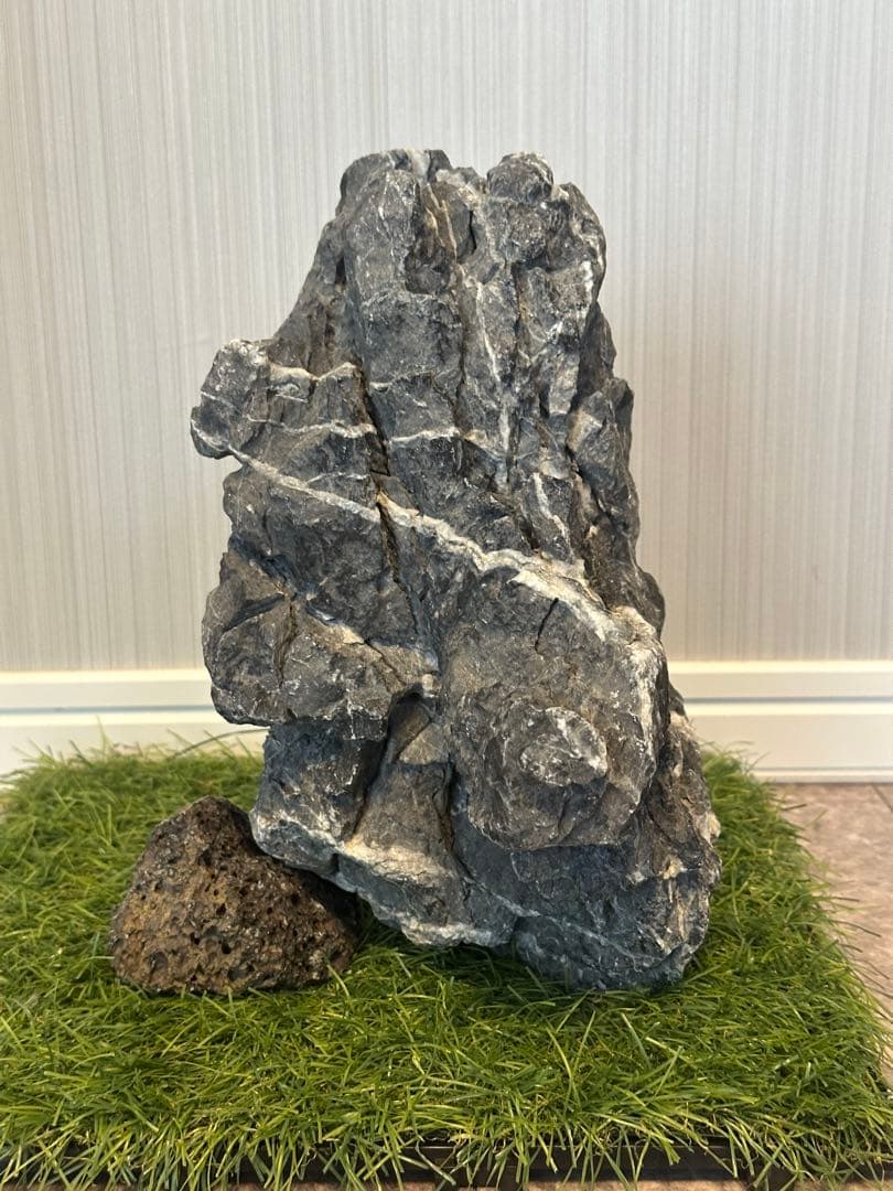 ★極美形　龍王石　5.7kg