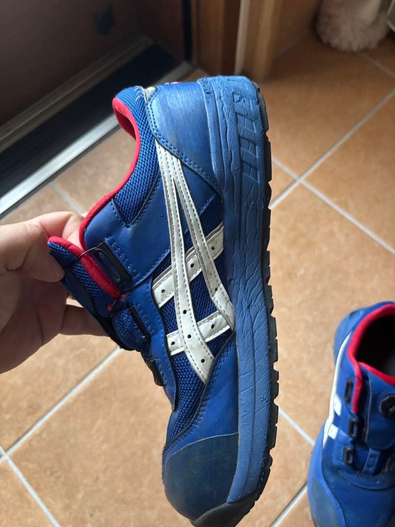 asics安全靴 CP209 BOA