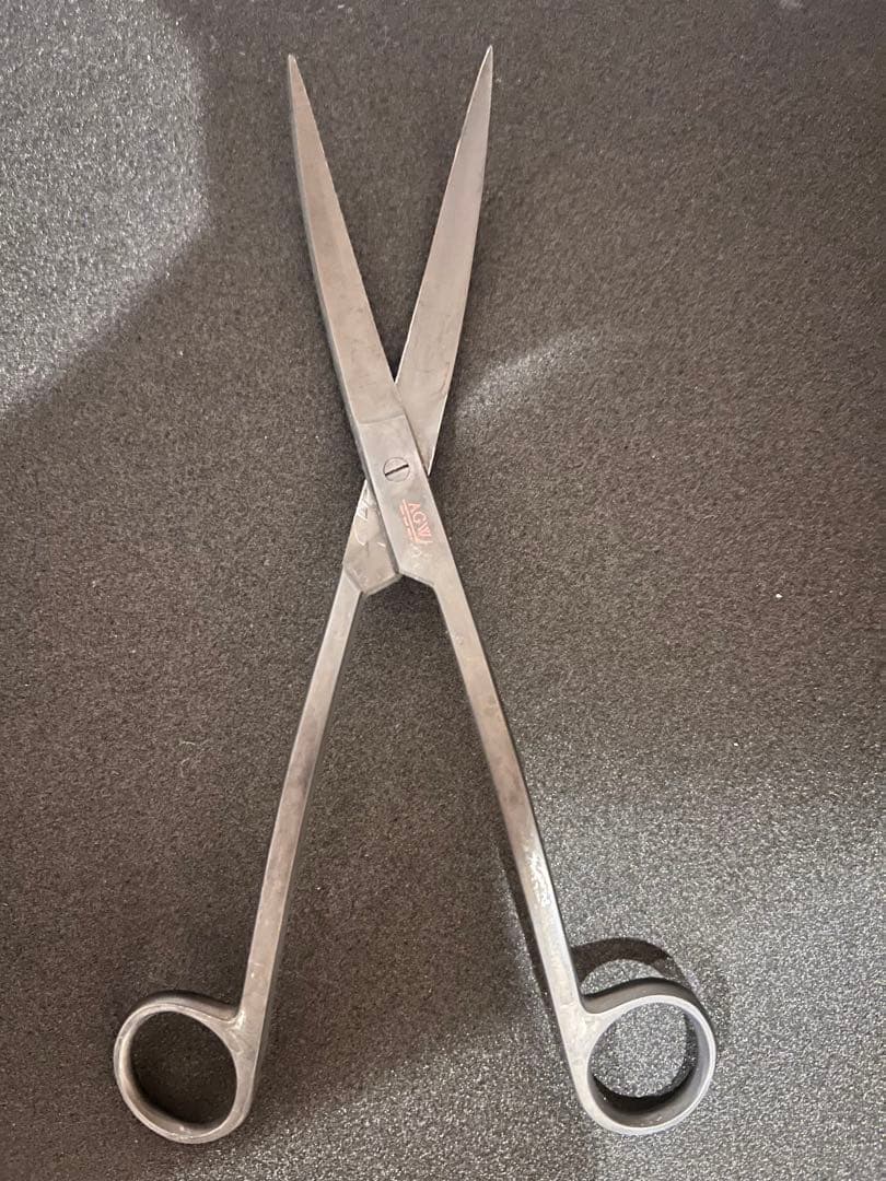 美品　AGWセット品 ハサミ ピンセット コケ取りのセット