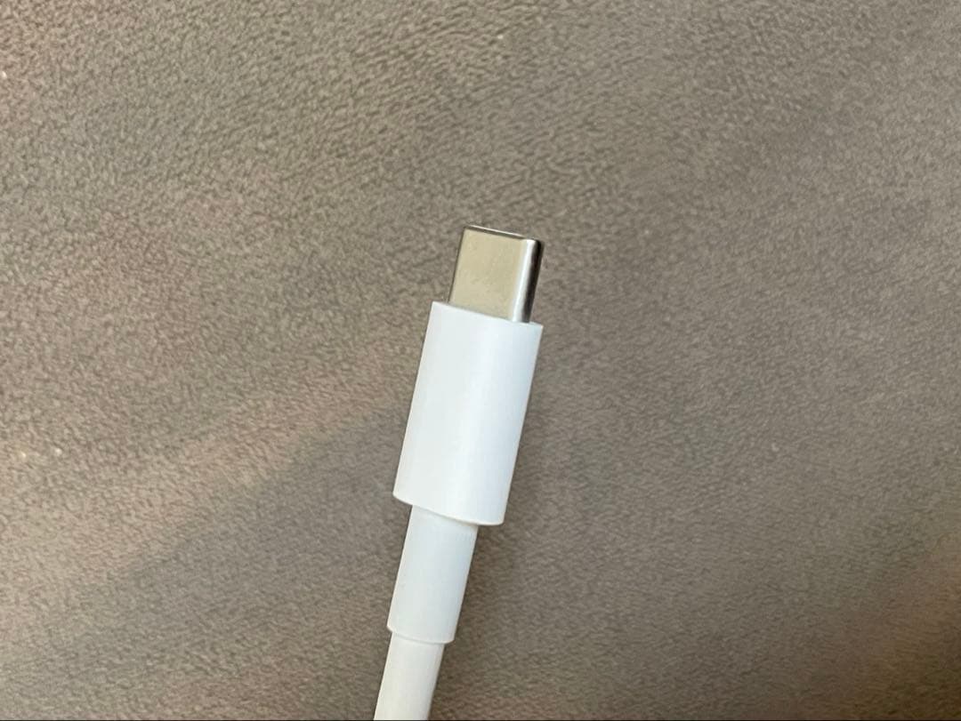 【純正箱あり】Thunderbolt2 to USB-C
