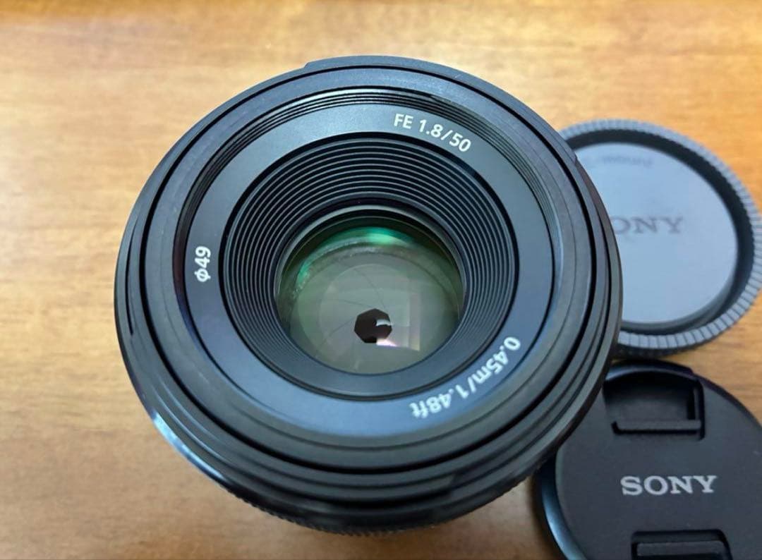 SONY 標準単焦点レンズ FE 50mm F1.8 SEL50F18F