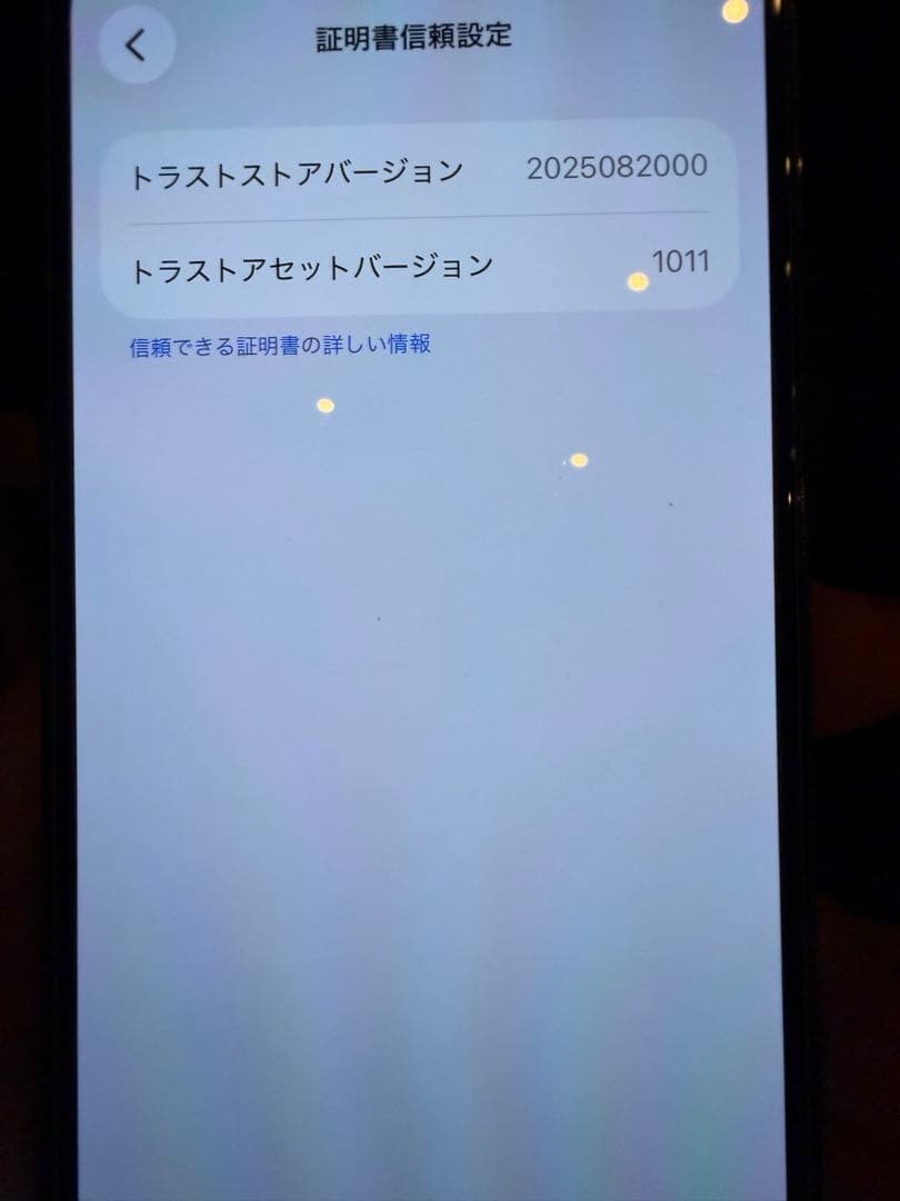 iPhone13Pro 256G シエラブルー