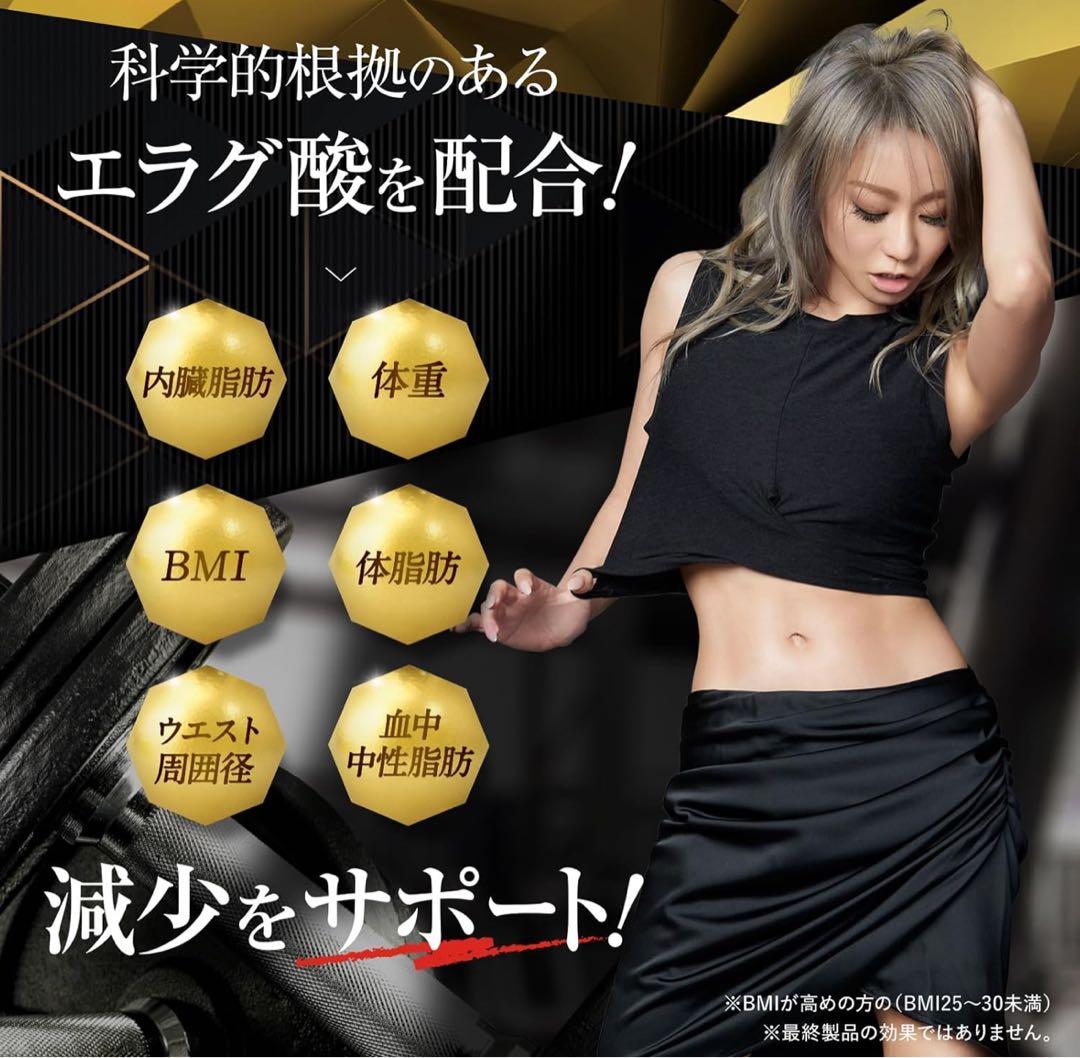 キラーバーナー2 ダイエットサプリ 倖田來未 45粒×2袋 エラグ酸 内蔵脂肪