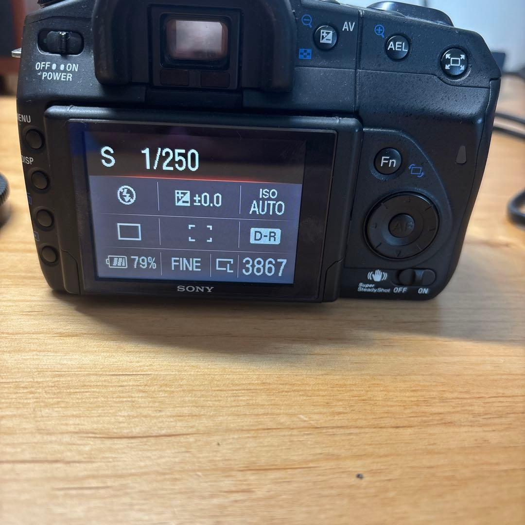 Sony α300 デジタル一眼レフ バッテリー CFカード16GBなど付き