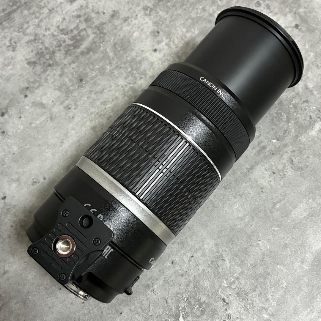 ⭐️美品⭐️Canon EFS 55 250 IS & EF-EOS M アダプター
