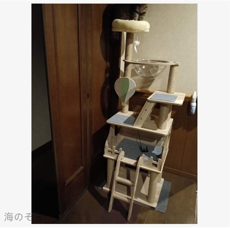 木製スリムキャットタワー ハウス付き 据え置き 安定性抜群 多頭飼いに最適