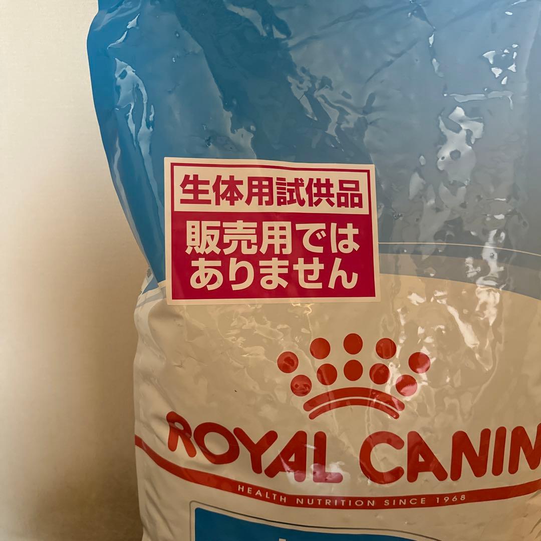 ローヤルカナン 大型犬の子犬用 マキシパピー 生体用試供品 1袋