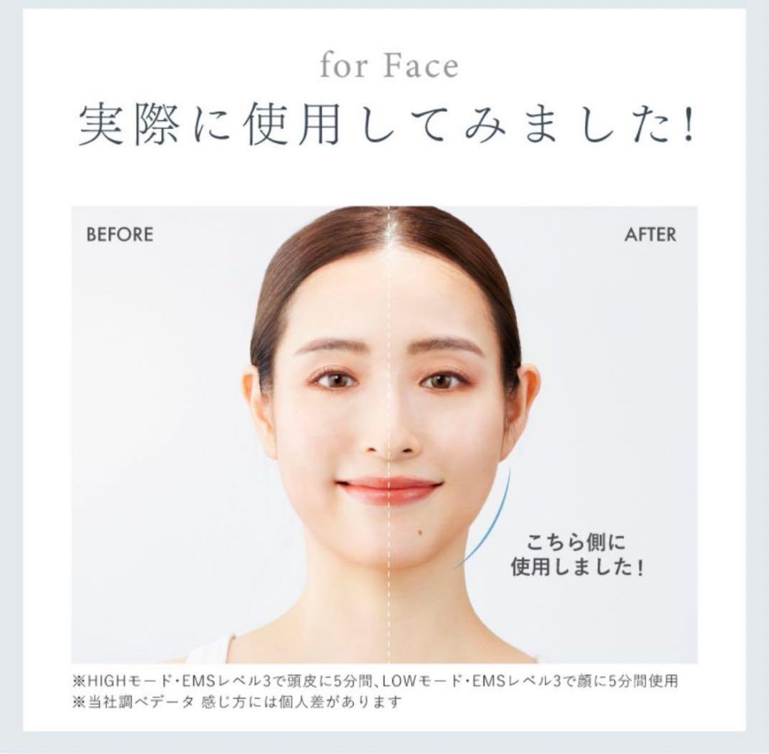 NIPLUX EMS LIFT BRUSH電気ブラシ
