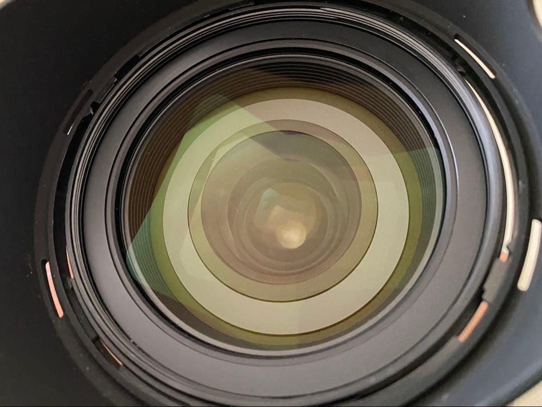 Nikon D4 デジタル一眼レフカメラ NIKKOR28-300mmVR