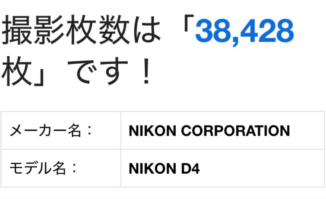 Nikon D4 デジタル一眼レフカメラ NIKKOR28-300mmVR