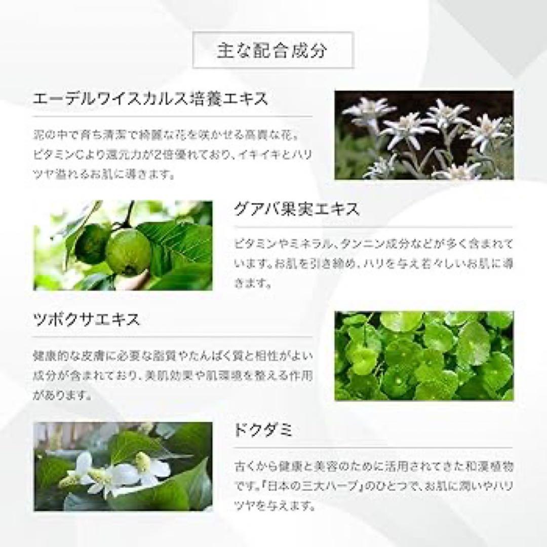 【新品未使用】公式 V3 ハイディング コンシーラー SPICARE スピケア