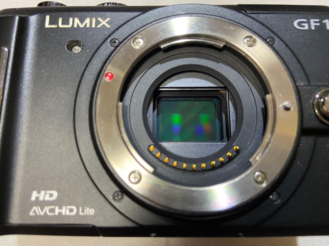 Lumix DMC-GF1 エスプリブラック（レザージャケット付き）