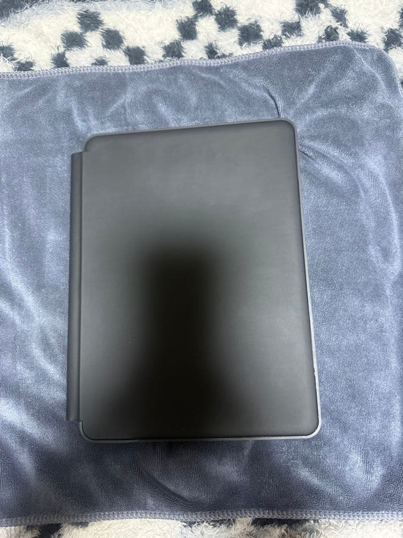 iPadpro11インチ 256gb M5 おまけ付き