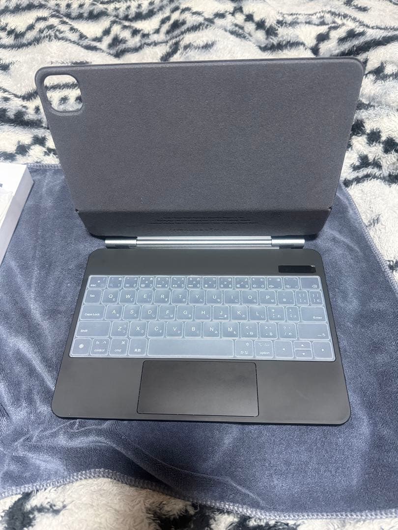 iPadpro11インチ 256gb M5 おまけ付き