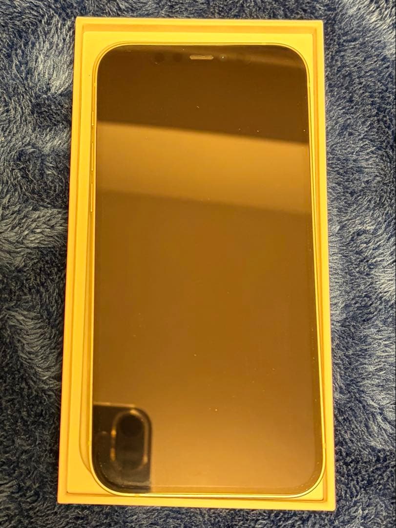 Apple iPhone 12グリーン 64GB本体 箱付き付属品完備