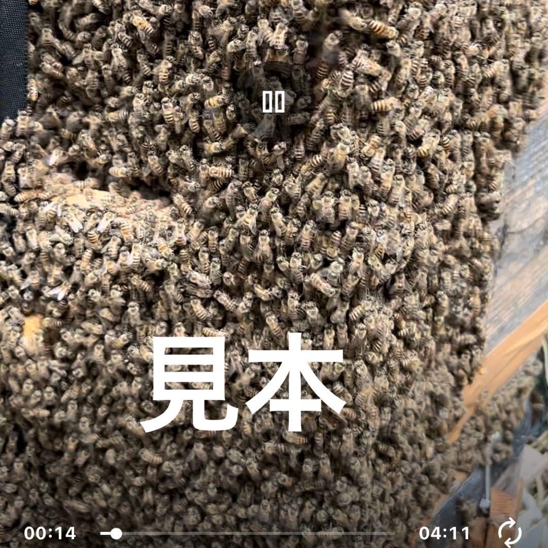 日本蜜蜂重箱式巣箱　ミツバチ巣箱　ハチ箱３段