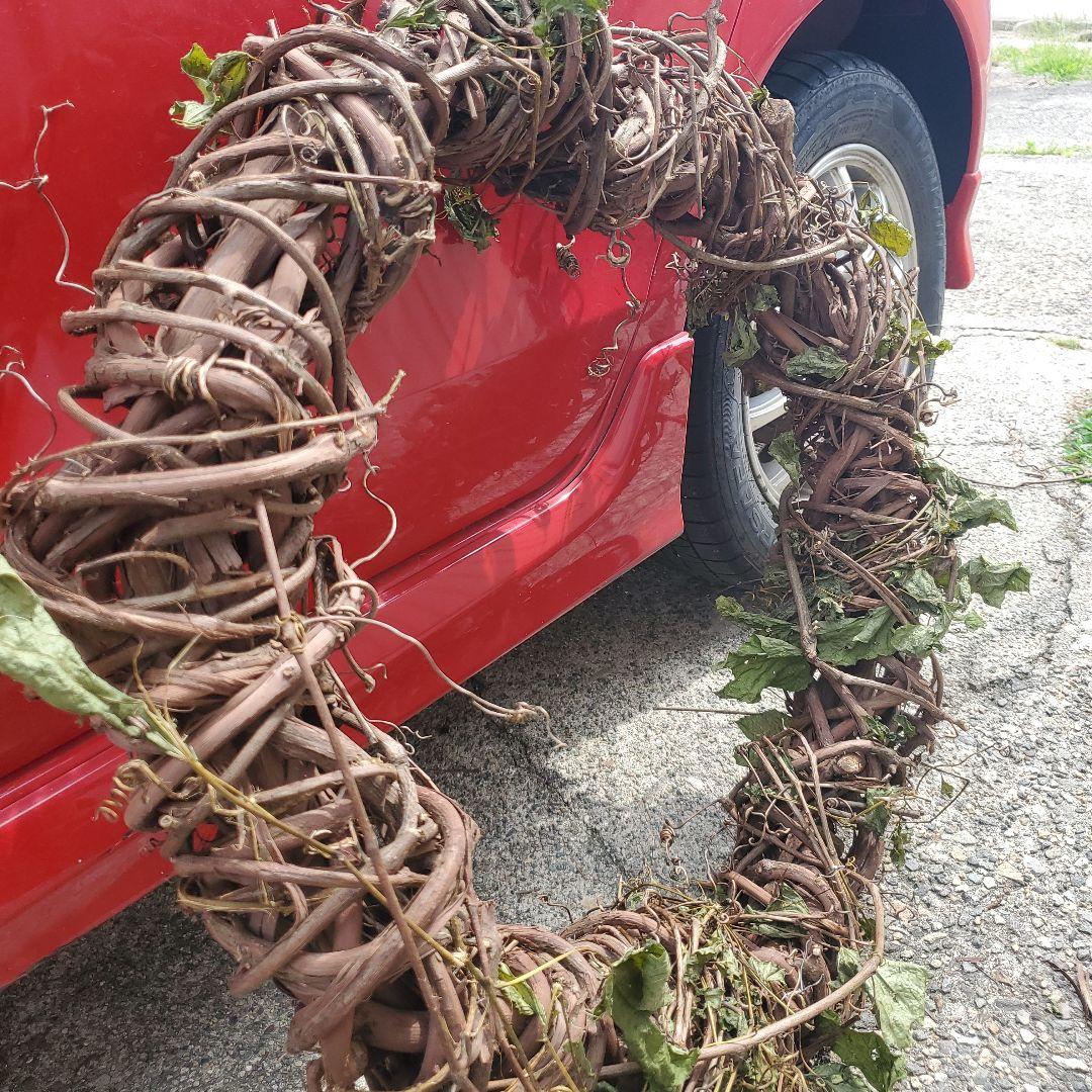 リース　特大サイズ　山葡萄　希少素材