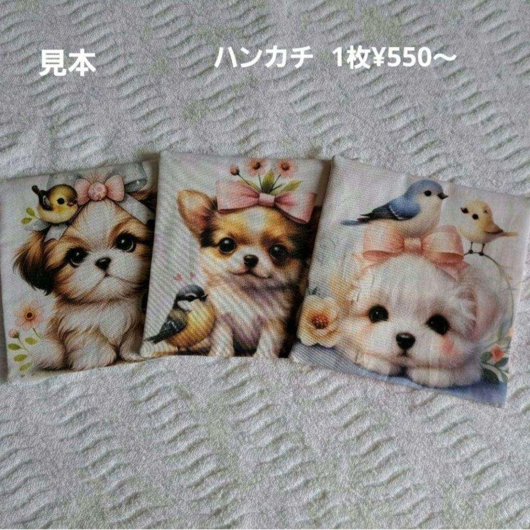 桜姫様確認用