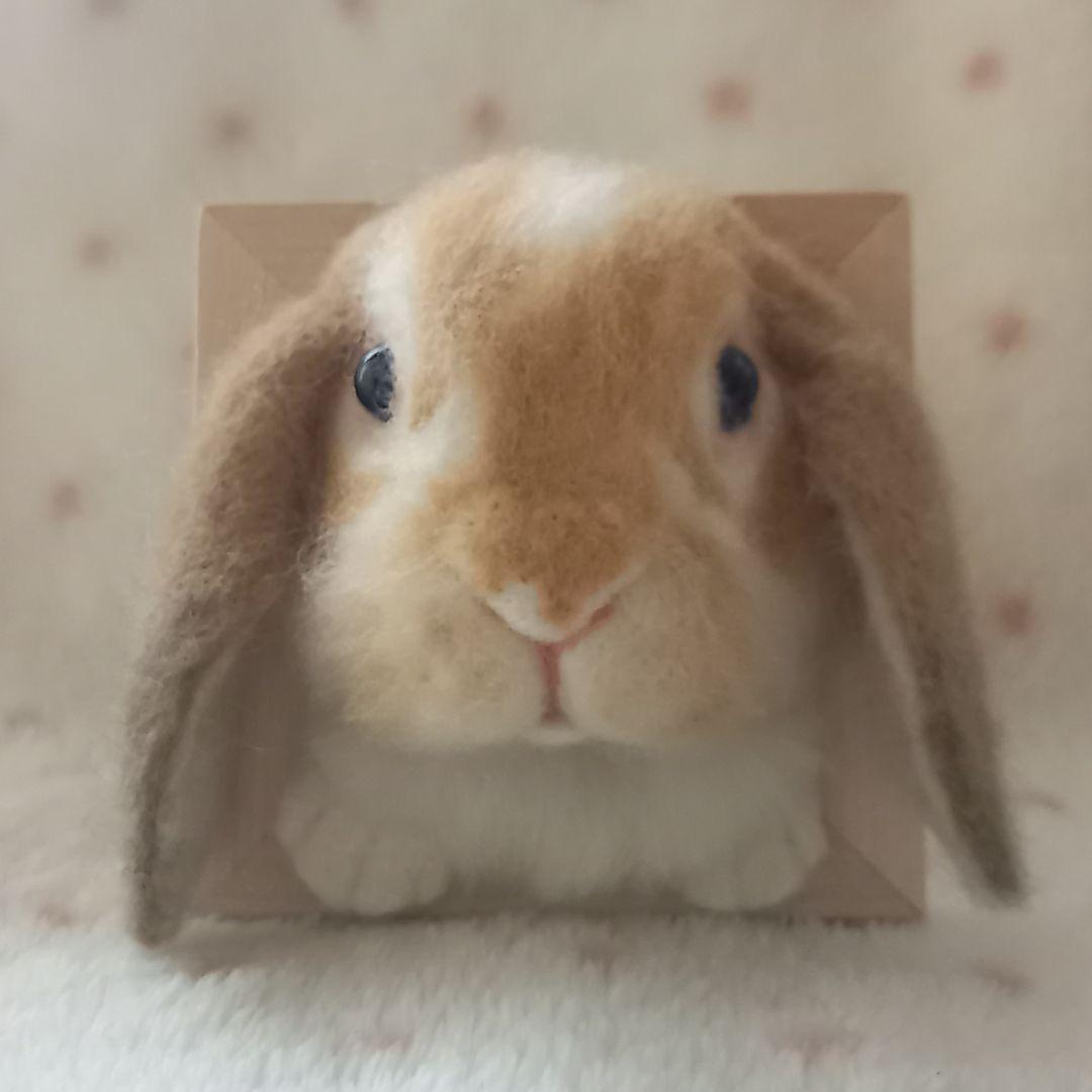 専用出品 うさぎフレーム うちのこ オーダーメイド 羊毛フェルト ハンドメイド