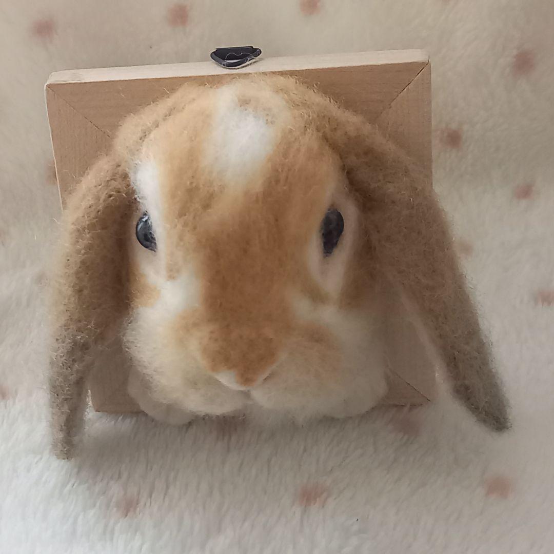 専用出品 うさぎフレーム うちのこ オーダーメイド 羊毛フェルト ハンドメイド