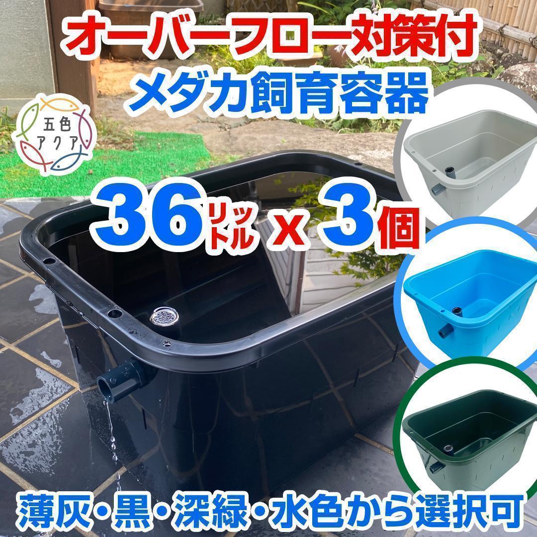メダカ飼育ケース 36㍑x3個（4色あり）オーバーフロー めだか鉢 金魚飼育容器