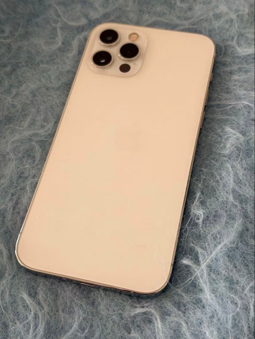 Apple iPhone 12 Pro シルバー 本体 新品ケース付き
