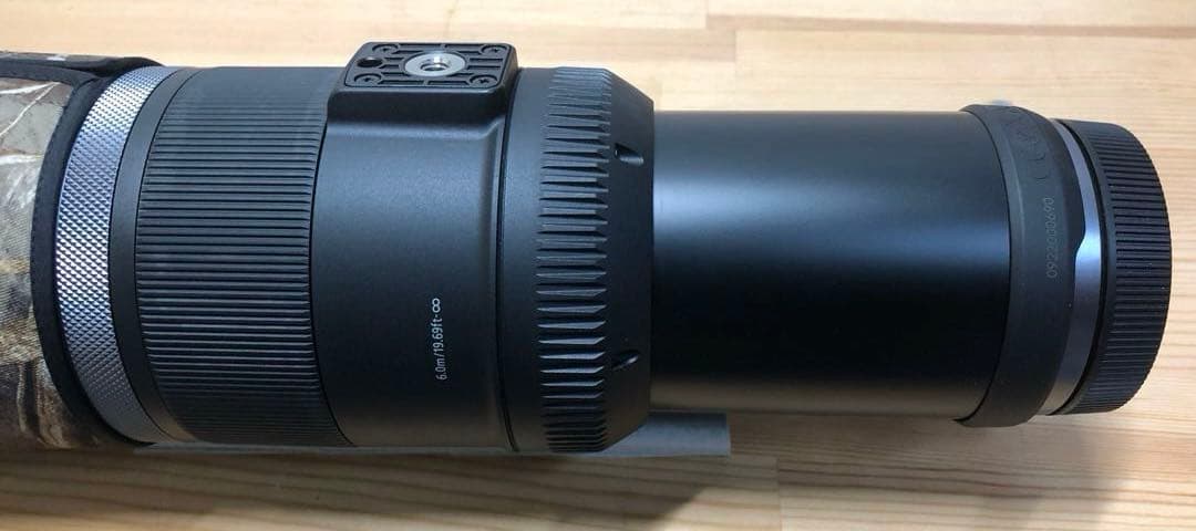 Canon / キャノン　RF800㎜　F11 IS STM