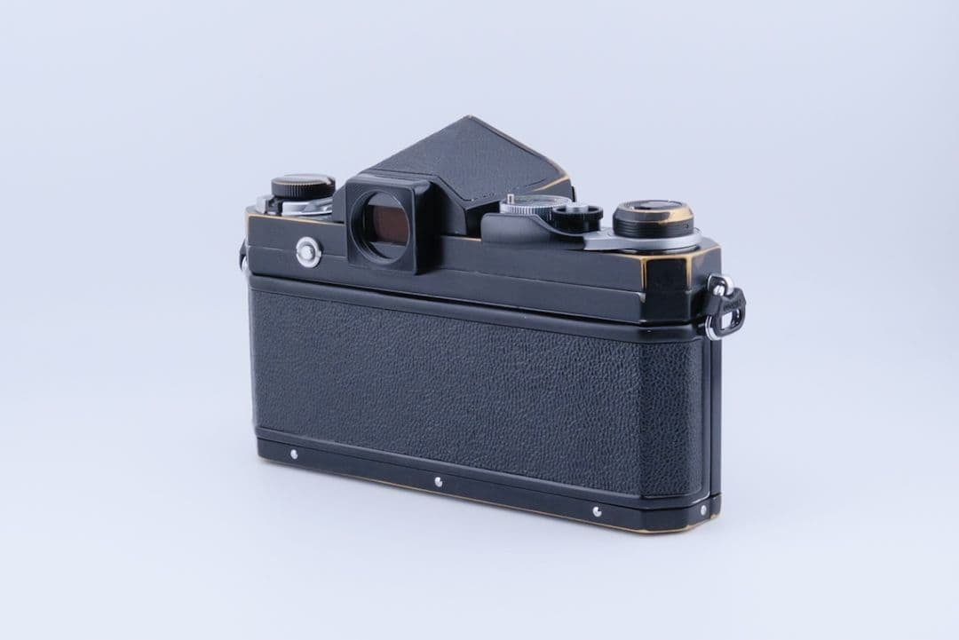 フィルム実写あり Nikon F後期 + Auto 50mm F2