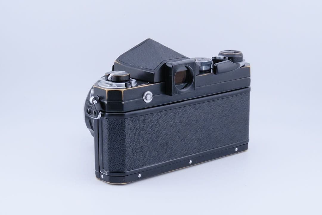 フィルム実写あり Nikon F後期 + Auto 50mm F2