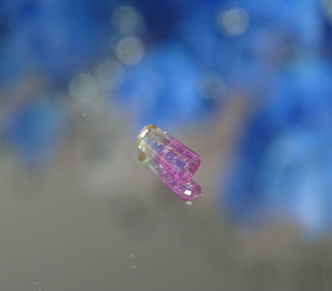 2693 0.23ct バイカラートルマリン